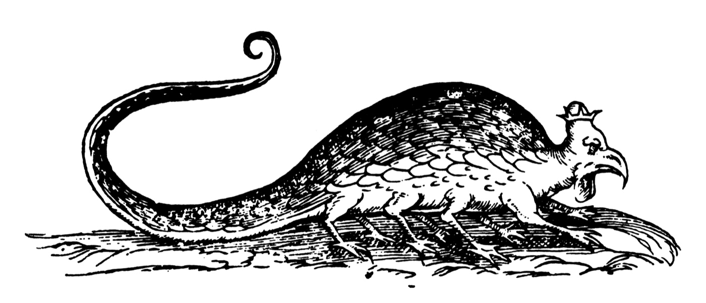 A 1640 engraving of a basilisk, a crowned serpent-like creature with clawed feet and a coiled tail, from Ulisse Aldrovandi's natural history of serpents and dragons